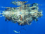 OceansThumbnail