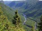 Umberto forests 150