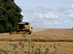 agriculture-150