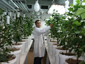 irrigation science 300